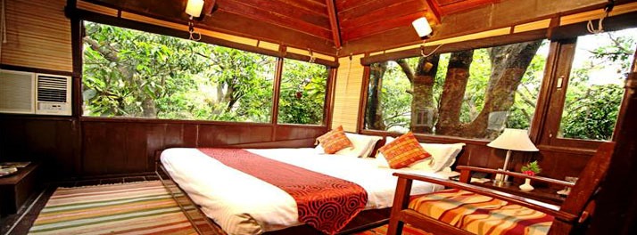 1353/Country Inn - Jim Corbett National Park 14.jpg